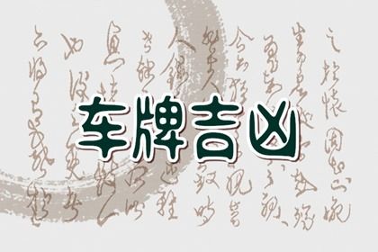 车牌号带69怎么化解 69数字吉祥吗